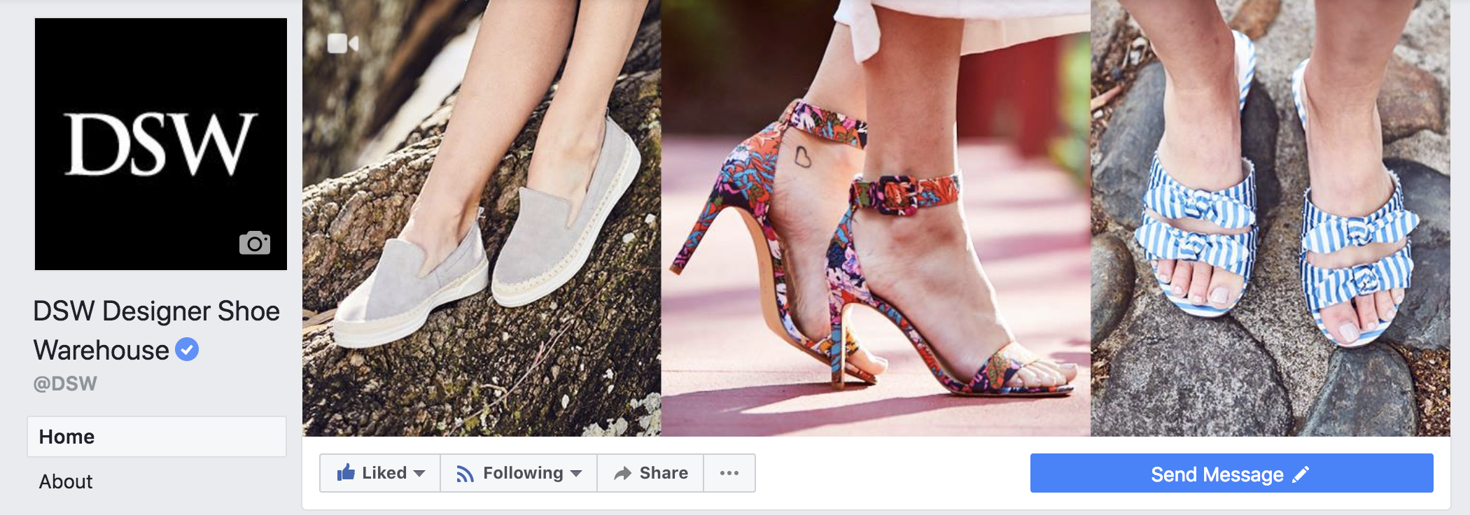 DSW Facebook page cover photo